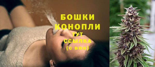 мяу мяу мука Белокуриха
