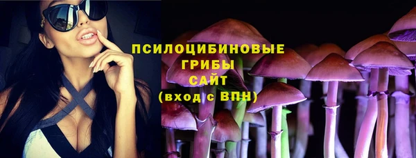 первитин Белоозёрский