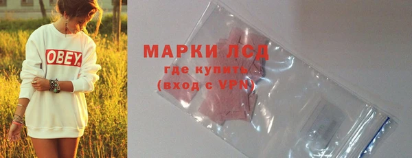 мяу мяу мука Белокуриха
