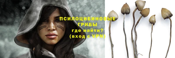 мяу мяу мука Белокуриха
