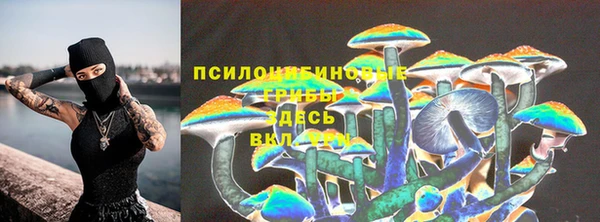первитин Белоозёрский