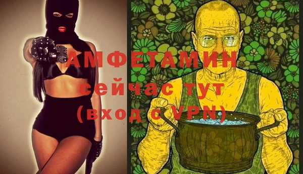 ECSTASY Тайга