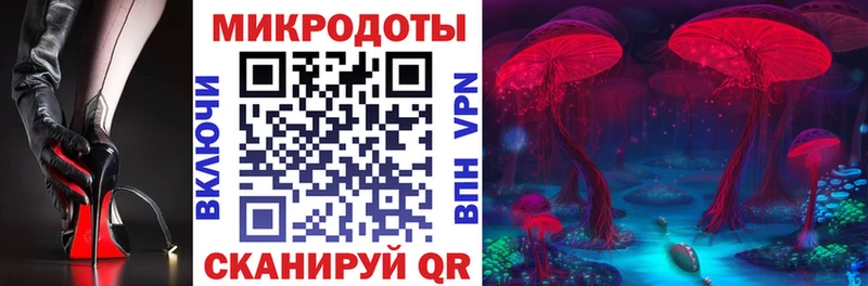 Псилоцибиновые грибы прущие грибы  как найти закладки  Вельск 